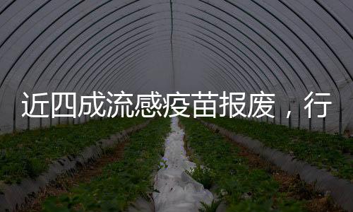 近四成流感疫苗報(bào)廢，行業(yè)面臨的挑戰(zhàn)與未來展望