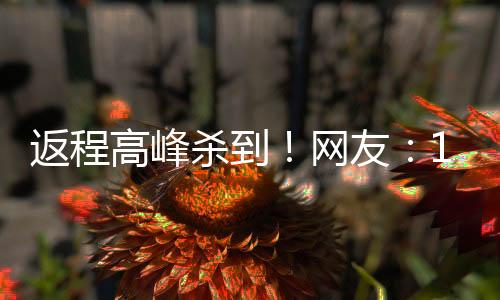 返程高峰殺到！網(wǎng)友：18個(gè)小時(shí)的車程 已練成鐵屁股