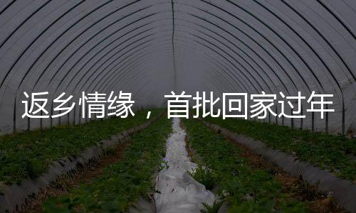 返鄉(xiāng)情緣，首批回家過年者即將步入訂婚殿堂