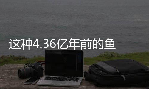 這種4.36億年前的魚 命名獻給“雜交水稻之父”袁隆平