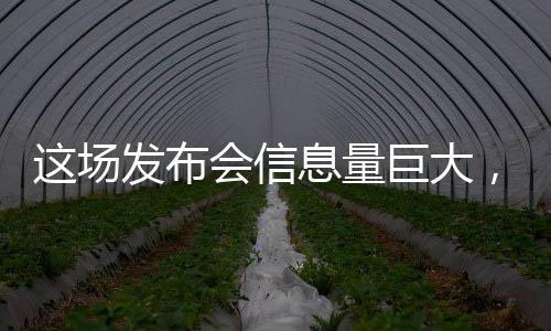 這場(chǎng)發(fā)布會(huì)信息量巨大，揭秘前沿科技與行業(yè)動(dòng)態(tài)的重大更新