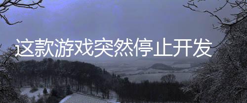 這款游戲突然停止開發(fā) 因為開發(fā)者被判入獄三年