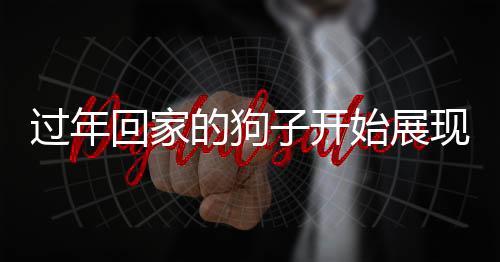 過年回家的狗子開始展現(xiàn)家務(wù)技能，寵物智能與家庭新風(fēng)尚