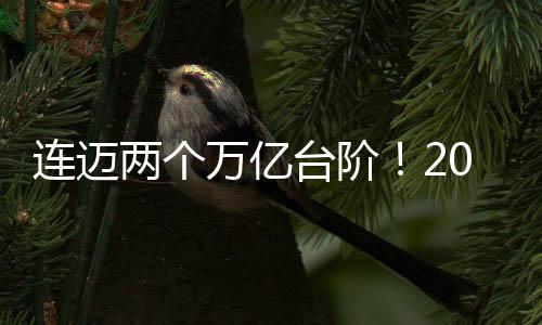 連邁兩個萬億臺階！2024年我國進出口總值達43.85萬億元