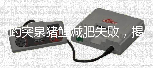趵突泉豬鯉減肥失敗，揭秘背后原因引發(fā)關(guān)注