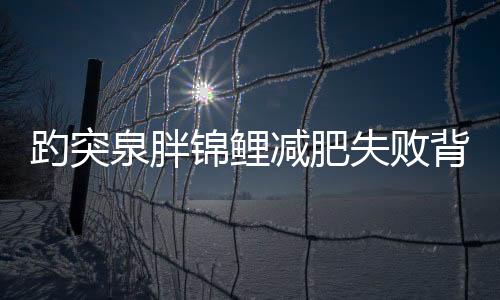 趵突泉胖錦鯉減肥失敗背后的故事