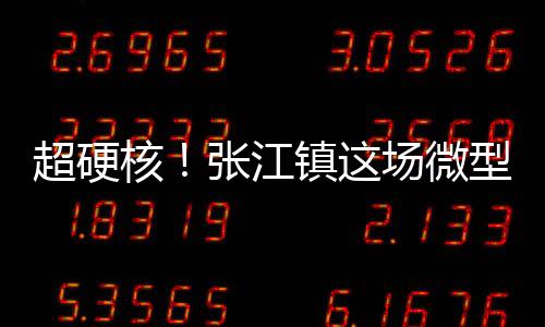 超硬核！張江鎮(zhèn)這場(chǎng)微型消防站比武競(jìng)賽“火力全開”