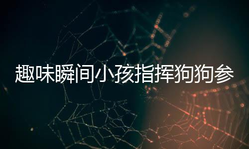 趣味瞬間小孩指揮狗狗參與作業(yè)撕紙大戰(zhàn)，笑容滿滿藏不住