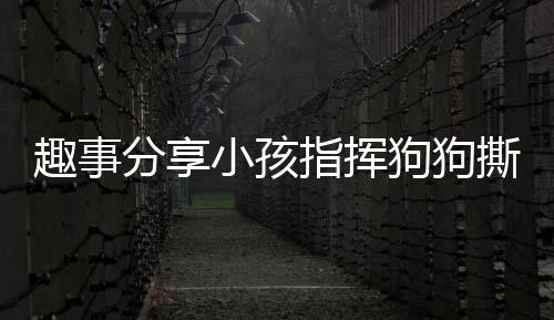 趣事分享小孩指揮狗狗撕作業(yè)，純真笑容藏不住