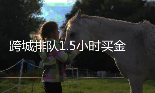 跨城排隊(duì)1.5小時(shí)買(mǎi)金，現(xiàn)象背后的投資熱與民眾心態(tài)解析