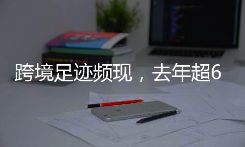 跨境足跡頻現(xiàn)，去年超6億人次出入境