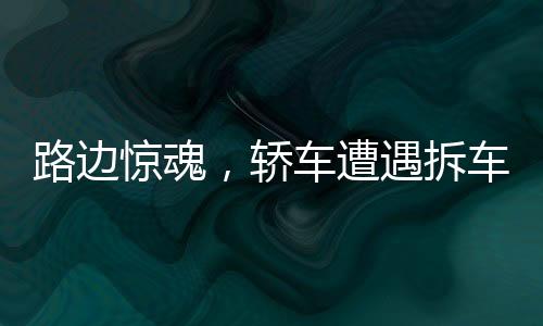 路邊驚魂，轎車遭遇拆車式犬群圍攻