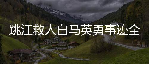 跳江救人白馬英勇事跡全面報(bào)道