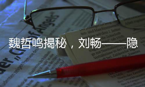 魏哲鳴揭秘，劉暢——隱秘而陰暗的前夫哥