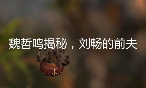 魏哲鳴揭秘，劉暢的前夫哥形象背后的故事——陰暗爬行之路