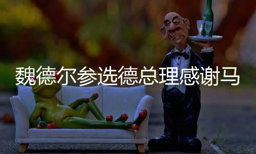 魏德爾參選德總理感謝馬斯克，聚焦政治與商業(yè)交匯點(diǎn)
