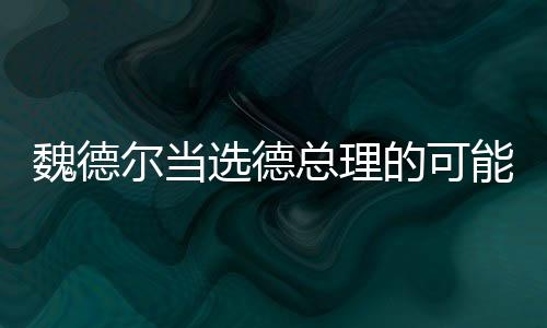 魏德爾當選德總理的可能性分析，渺小之中的變數(shù)