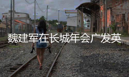 魏建軍在長城年會(huì)廣發(fā)英雄帖，共筑產(chǎn)業(yè)未來