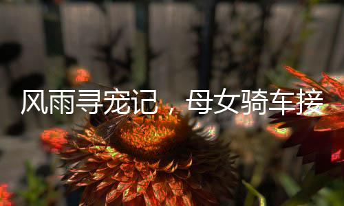 風雨尋寵記，母女騎車接回家中小狗，親情的堅守與執(zhí)著