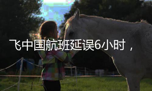 飛中國(guó)航班延誤6小時(shí)，機(jī)長(zhǎng)忘帶護(hù)照，引發(fā)關(guān)注與反思