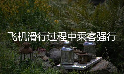 飛機(jī)滑行過程中乘客強(qiáng)行要求上廁所并發(fā)生辱罵砸門事件