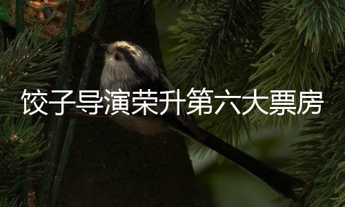 餃子導演榮升第六大票房巨匠