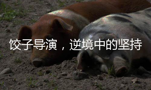 餃子導演，逆境中的堅持贏得機遇