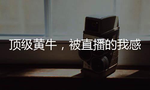 頂級黃牛，被直播的我感動全網(wǎng)！