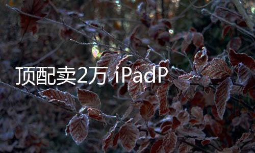 頂配賣2萬 iPadPro出貨量不及預期：蘋果高估了