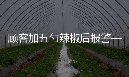 顧客加五勺辣椒后報警——一起探究事件的始末