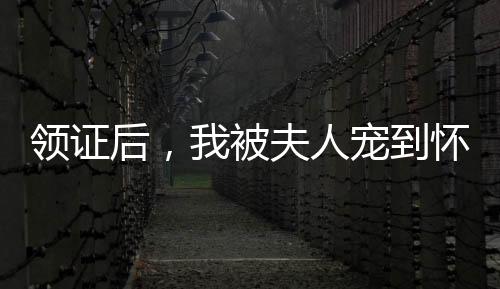 領(lǐng)證后，我被夫人寵到懷疑人生