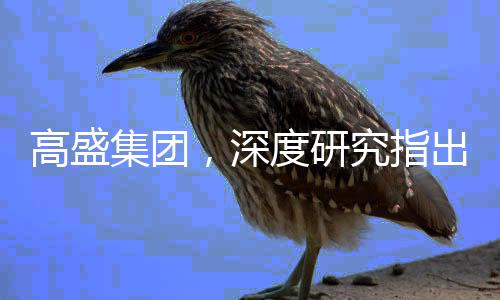 高盛集團(tuán)，深度研究指出DeepSeek項(xiàng)目被高估了