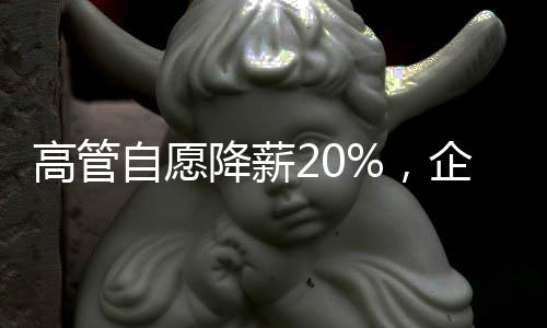 高管自愿降薪20%，企業(yè)共度難關，團結力量顯擔當