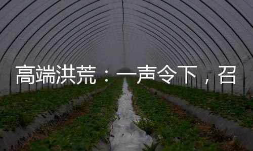 高端洪荒：一聲令下，召回所有穿越者！