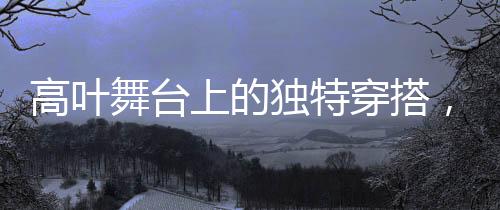 高葉舞臺(tái)上的獨(dú)特穿搭，鋼筆配飾引領(lǐng)新潮流