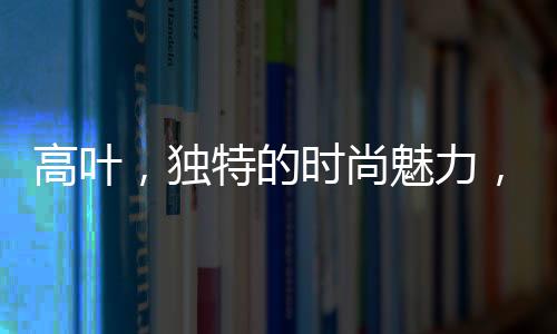 高葉，獨特的時尚魅力，引領(lǐng)穿戴鋼筆新風潮
