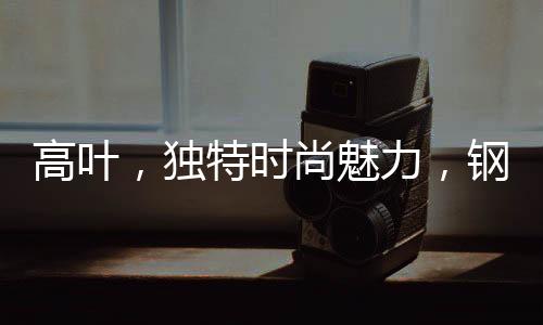 高葉，獨(dú)特時尚魅力，鋼筆與服飾的完美結(jié)合