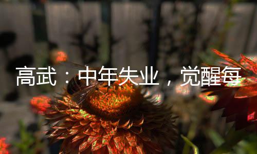 高武：中年失業(yè)，覺醒每月天賦