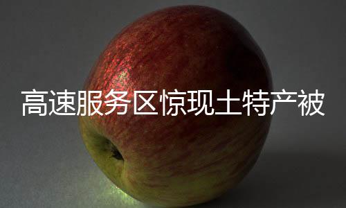 高速服務(wù)區(qū)驚現(xiàn)土特產(chǎn)被棄垃圾桶旁，引發(fā)關(guān)注與思考