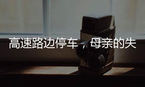 高速路邊停車，母親的失控與孩子的受傷