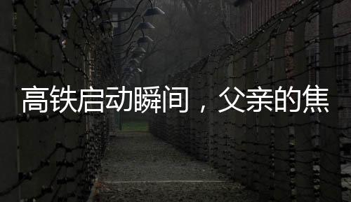 高鐵啟動(dòng)瞬間，父親的焦急與兒子的疏忽——一次未上車的啟示