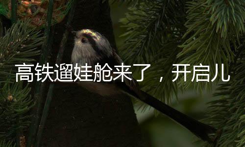 高鐵遛娃艙來了，開啟兒童友好出行新篇章