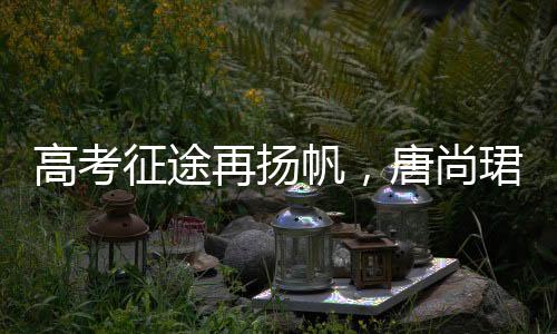 高考征途再揚(yáng)帆，唐尚珺清華夢(mèng)續(xù)傳奇——高考路上的奮斗故事第十六回