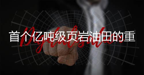 首個(gè)億噸級(jí)頁巖油田的重大發(fā)現(xiàn)，開啟能源新篇章