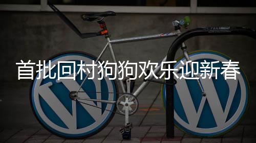 首批回村狗狗歡樂迎新春，玩鞭炮成為鄉(xiāng)村新風(fēng)尚