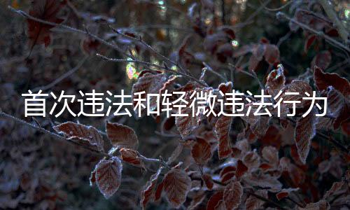 首次違法和輕微違法行為不予處罰，十二種情形詳解