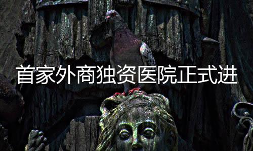 首家外商獨資醫(yī)院正式進駐，開啟醫(yī)療領(lǐng)域新篇章