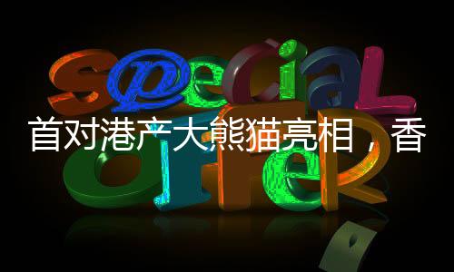首對港產(chǎn)大熊貓亮相，香港掀起熊貓熱潮