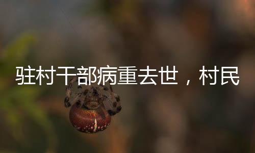 駐村干部病重去世，村民深情捐款紀(jì)念暖心瞬間——互助之情照亮人心之光