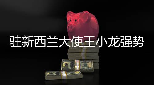 駐新西蘭大使王小龍強勢回懟外國記者，傳遞真實聲音，捍衛(wèi)國家利益